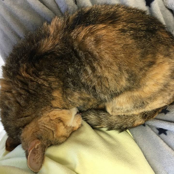 E5de1bfb e077 4178 b8f5 460b440d3676 1580987382162