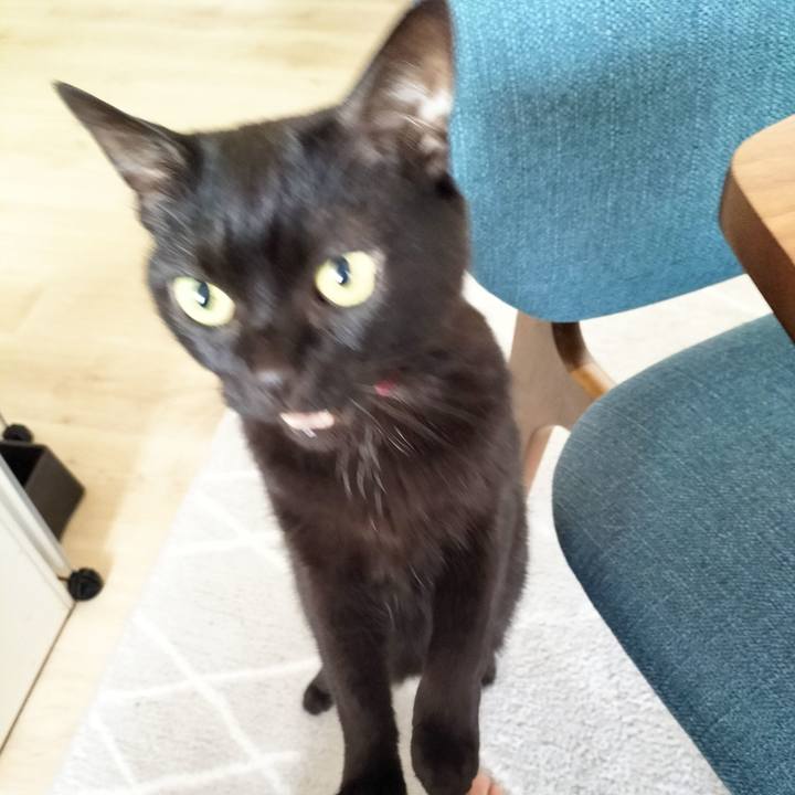 E5de1d28 d766 4125 9c95 ffe11060313a 1713134261966