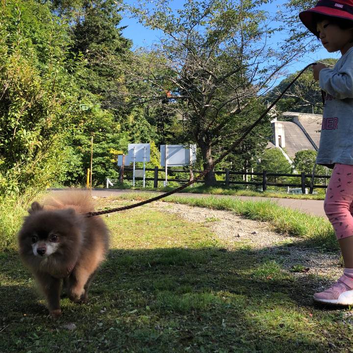 E5de7e7a 377b 488f 902d d052b4c1a881 1601354475810