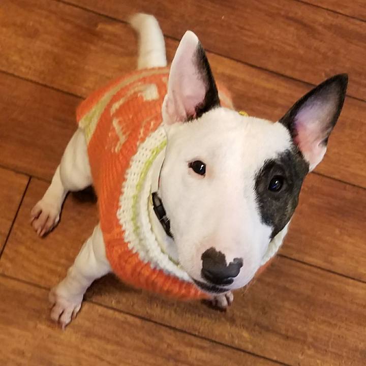 E5de9b32 5c49 481a 8a5a 2a45c6f4eb38 1519188713525