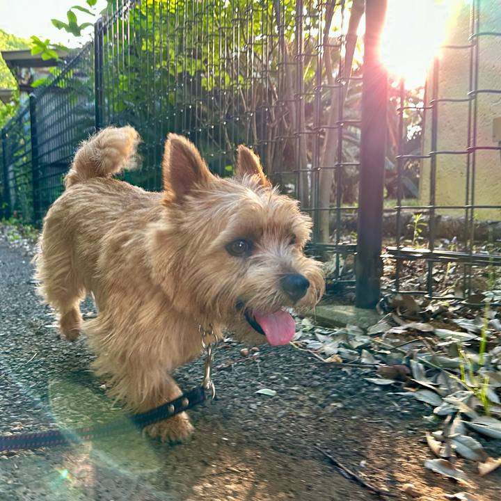 E5dea639 f9b5 4773 9f8d 777278c69b49 1751272676444