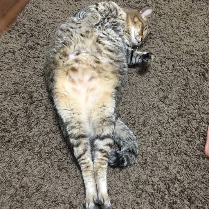 E5df54d4 d381 483b b503 c709e595e715 1590489488892