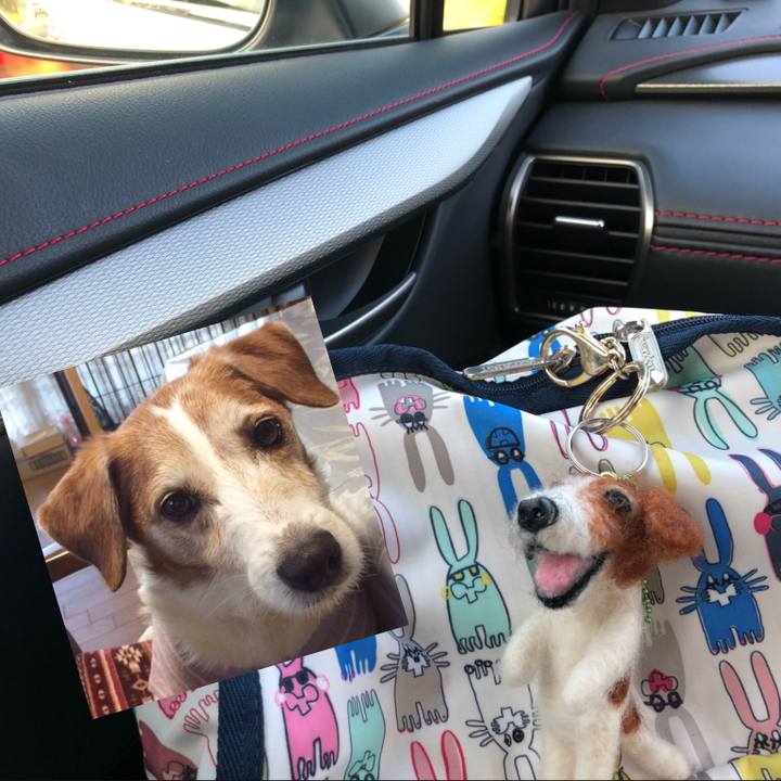 E5df7302 ea2c 43d5 93f8 de5a07d337ae 1566682070933