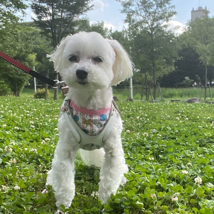 E5df7bfa f637 4a9b a546 5819fb2e5502 1685527453595