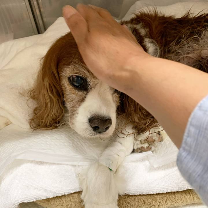 E5df7dcb 067f 451d 9e48 c88ee133b32a 1623201705387