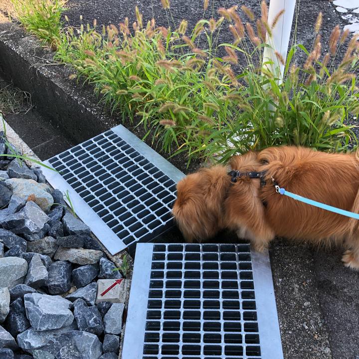 E5e01a02 2485 4603 978c 0d3c85aee3e3 1565136391489