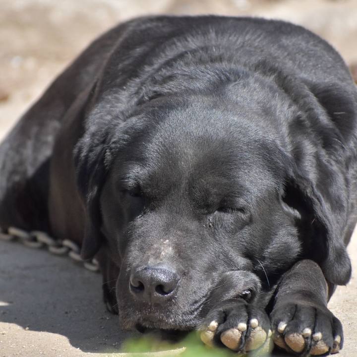 E5e09ac1 a53b 4c03 bbf6 ff70e23af122 1598758502656