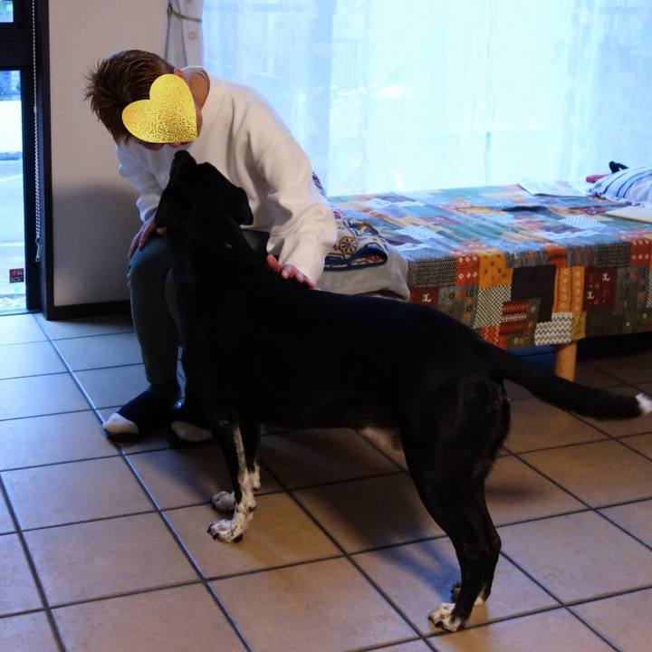 E5e0bfc5 ede1 40e6 b9a9 2aa3a644aace 1747007523922