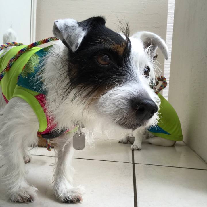 E5e0c456 8273 4ddd b715 9dc80d75926f 1541724524312