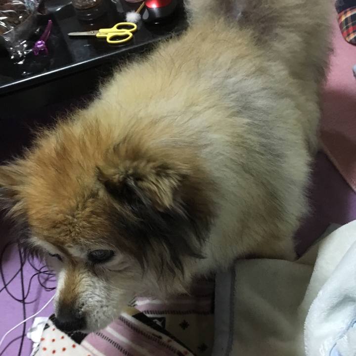 E5e0e88f 15a3 4430 be4f c3dd0e1ee17f 1586754177055