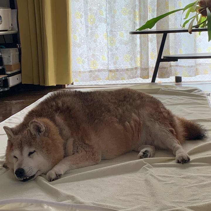 E5e0fabb 7409 4864 a4ed 70047613bee4 1655604338832