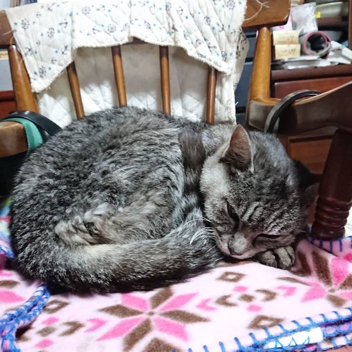 E5e12072 3ed4 47d3 bb95 5103e0df3f1f 1579904620307