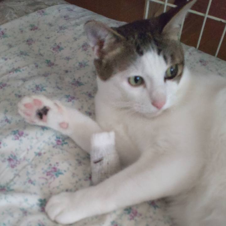 E5e1284f 343f 4f1f a272 8017a1c7873e 1695601207259