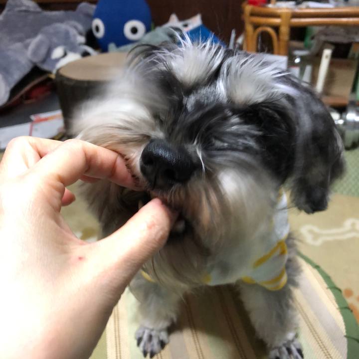 E5e15538 a485 4c73 bb40 1f71e3b6a1bc 1546612342508