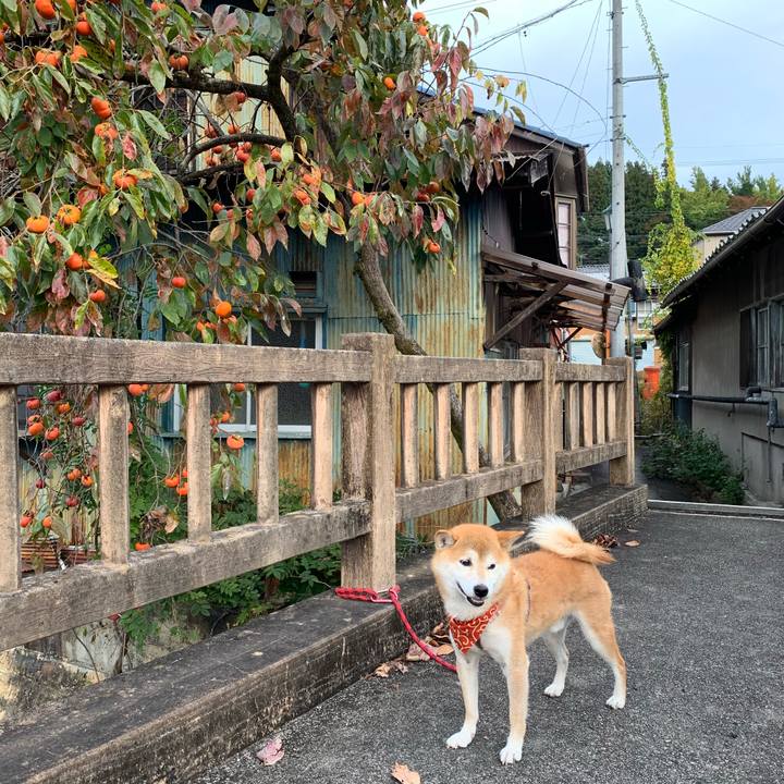 E5e1631e 8dd4 4890 8594 2a4f47f7b92e 1573648314842