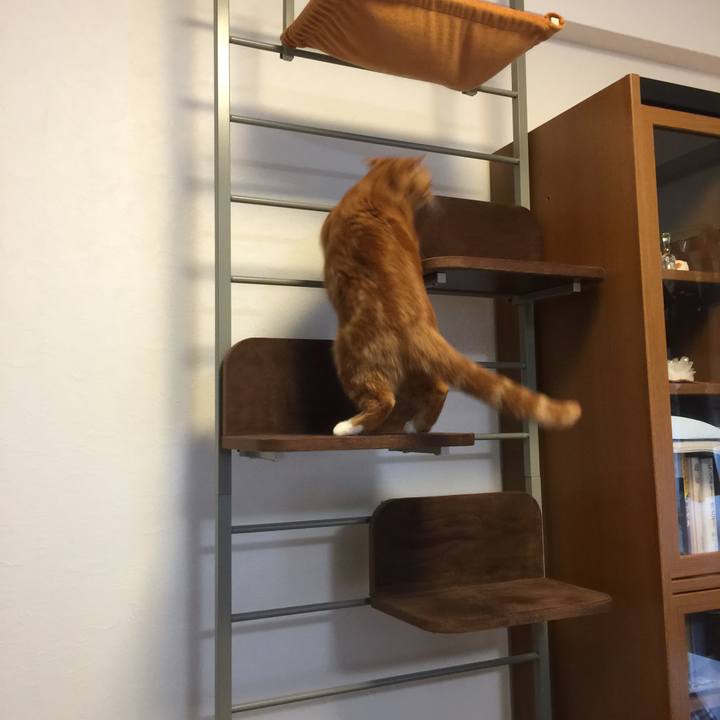 E5e177b8 02e9 4b6a bc6b 9cb99a9f66e7 1552003389268