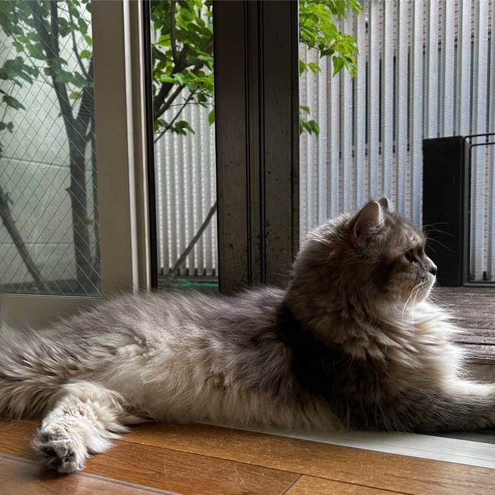 E5e1793b fe50 4cd3 8406 a85d07324977 1687052566579