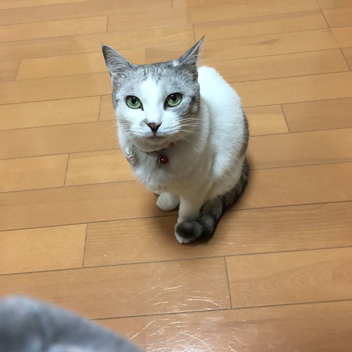 E5e19a46 cb1b 4589 9c8a fae4f4d6becc 1519306622958