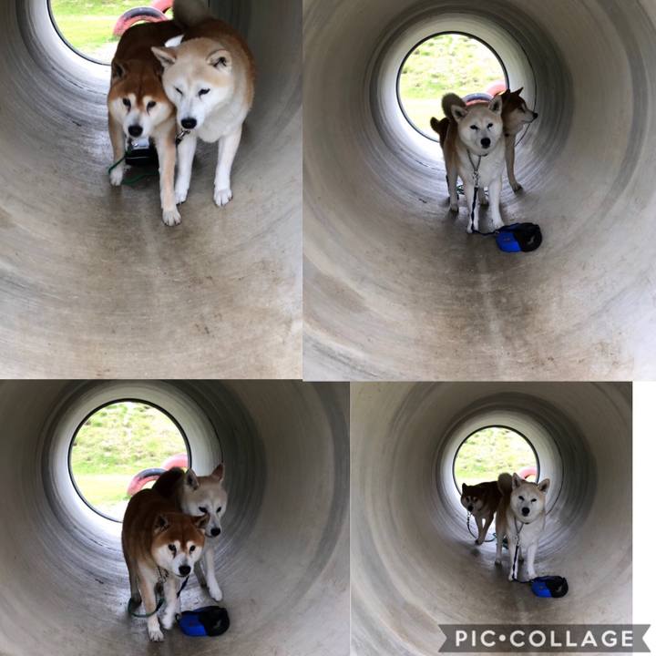 E5e1b4fe 9a03 4348 879a 266eb8f176e4 1560309658913