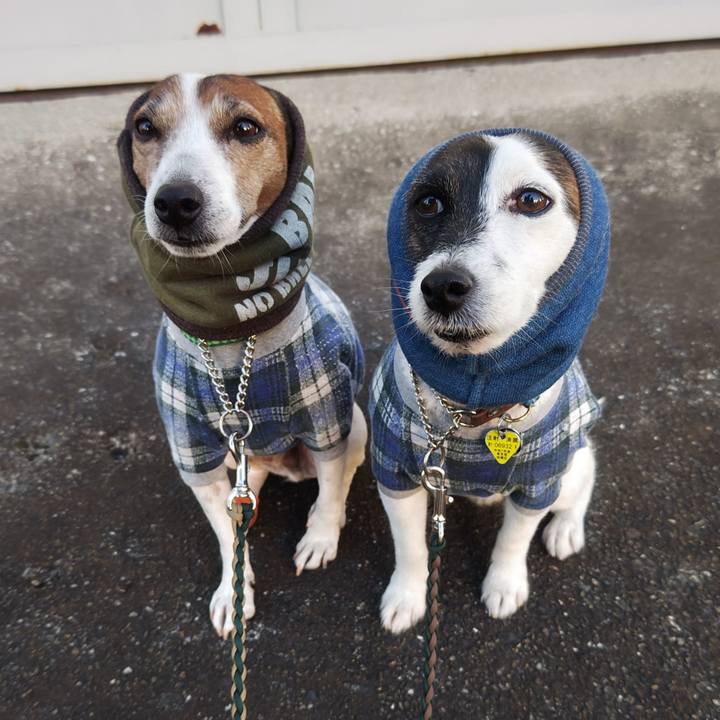 E5e26de8 1dc4 42e3 ae86 5fe6043ac99c 1763504129597