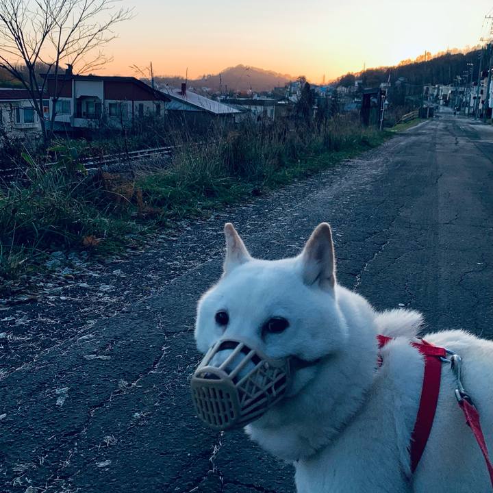 E5e27bc3 5537 4416 af08 b5dec0f273fc 1605392215159