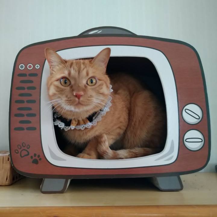 E5e3065d d7bb 4fac 9587 190b12abb973 1627274112433