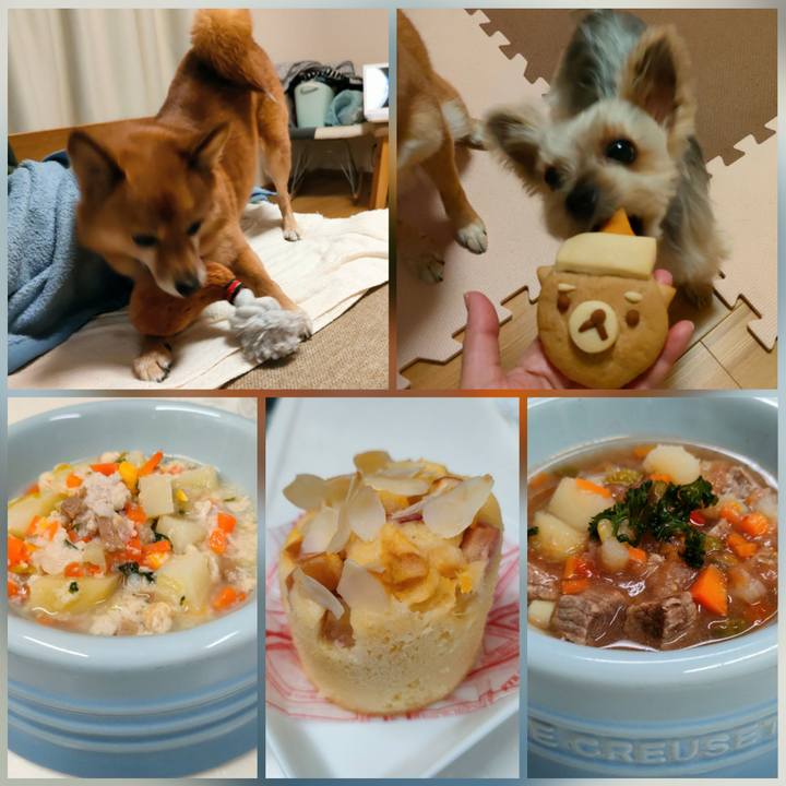 E5e30b57 da83 449c a31e fb04711dc92c 1640750234174