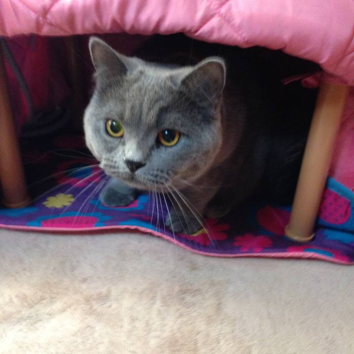 E5e317ce da37 4cd3 8ee6 4611c12d1731 1773480408494