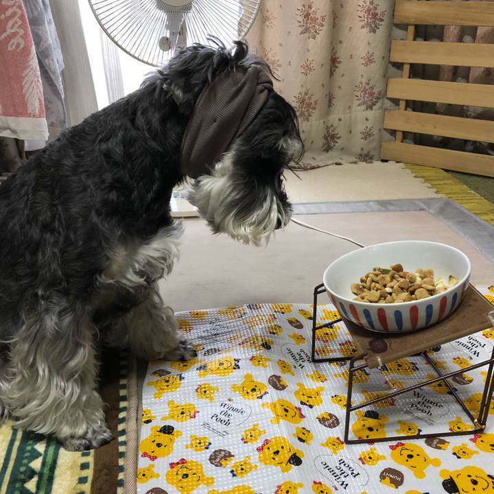 E5e32bcd 484b 4c10 8f70 c10e9b9c16cc 1655252576248