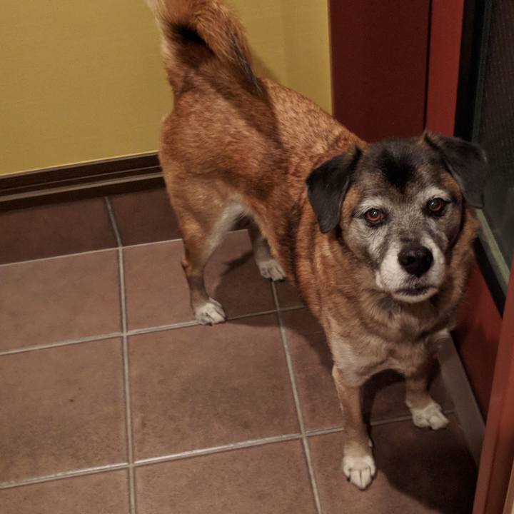 E5e397b4 9cef 41f9 b0a6 1691f5d9b837 1514282027090