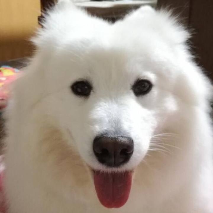 E5e3a300 3cbb 4a4a b58e 8002f8c88396 1553907123293