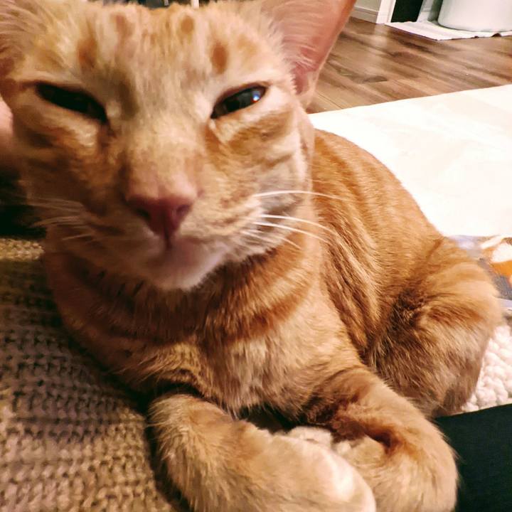 E5e3b1b1 43ba 4737 9c95 a8c6765d01d3 1640065016105