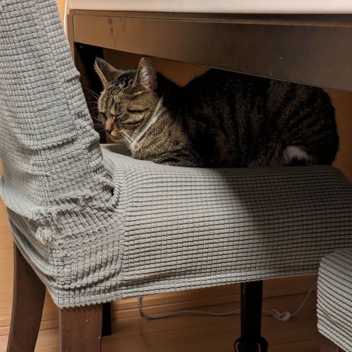 E5e3d338 f07b 4e7e bf99 f1a3674ee9c5 1691235190840