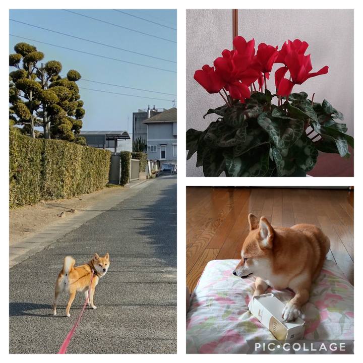 E5e3e18f efbb 4207 8713 509f119b7adf 1736841248758