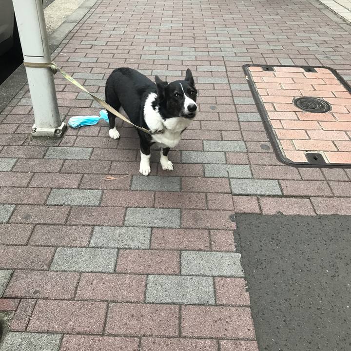 E5e4056f 92c5 4691 bda6 d6f3b769831f 1515223540376