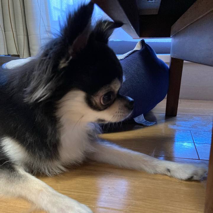 E5e41259 813c 4ed5 9d7f f3cfa0422525 1658582729556