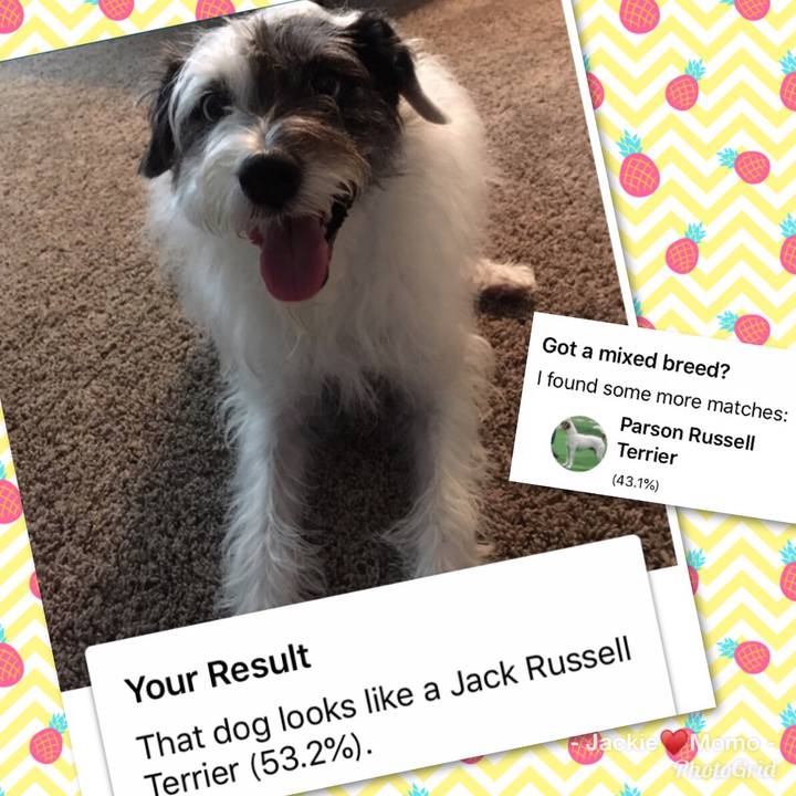 E5e4abc2 35a8 4607 9392 a4da29463af7 1564622123862