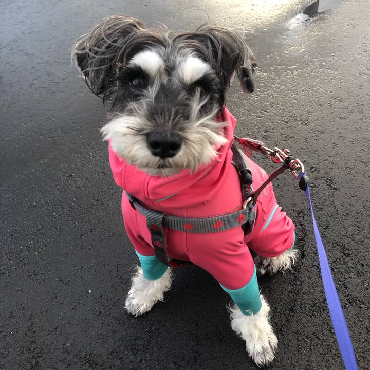 E5e4f874 a394 4d0b b99b 37a2add09d83 1698530713047