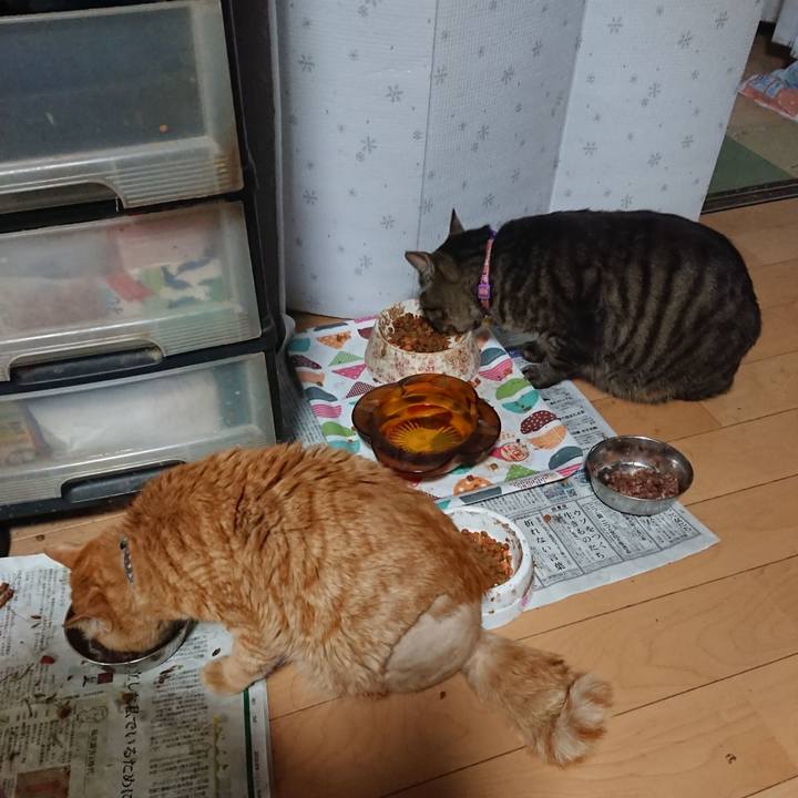 E5e505cd fb0d 45fe 8e39 53cbc71c8bc6 1653899902613