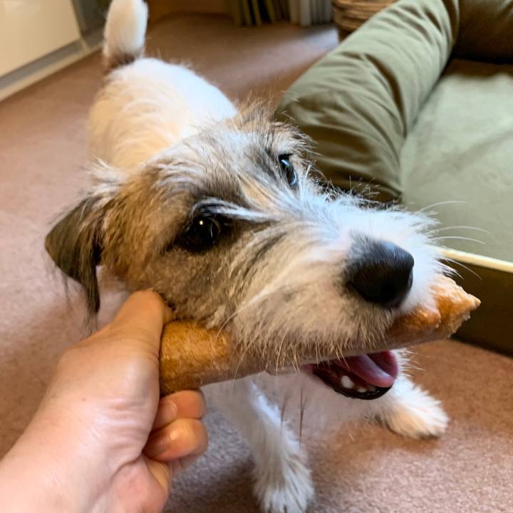 E5e50a94 313d 43f8 b236 c242ca590a94 1571099182459