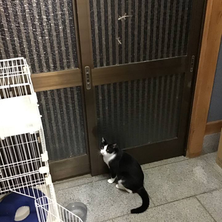 E5e51a47 1511 4c09 aad8 671d0b5293fb 1696243679693