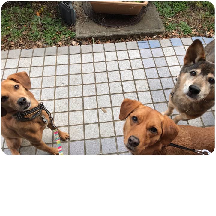 E5e54398 3b2e 42ac a676 5e147813ba8a 1545977980526