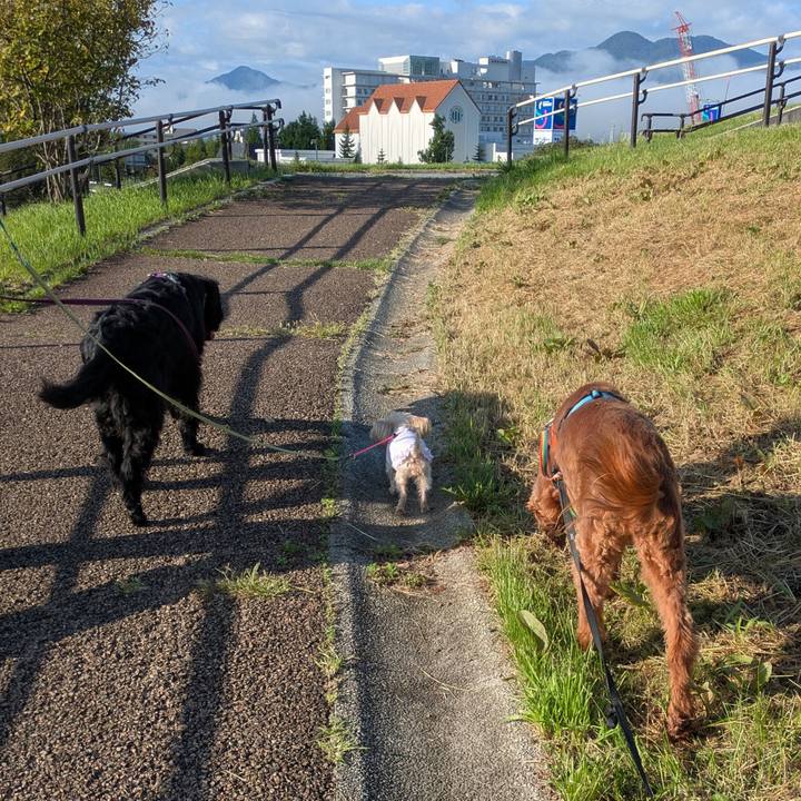 E5e54a01 792d 4406 a3e9 66577a058597 1757640637170