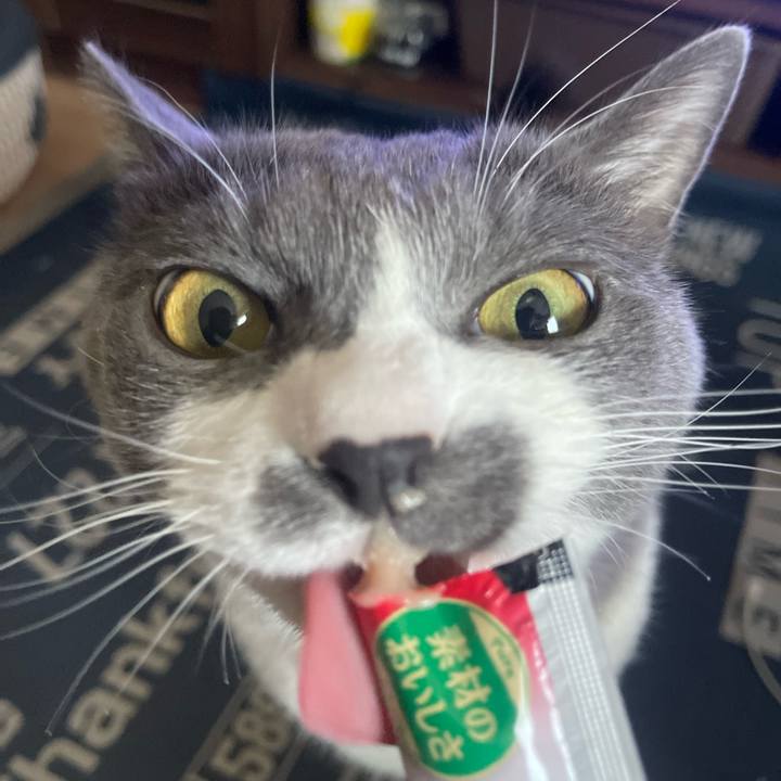 E5e5611b b696 4ef9 ab16 31255b536b18 1722147610618