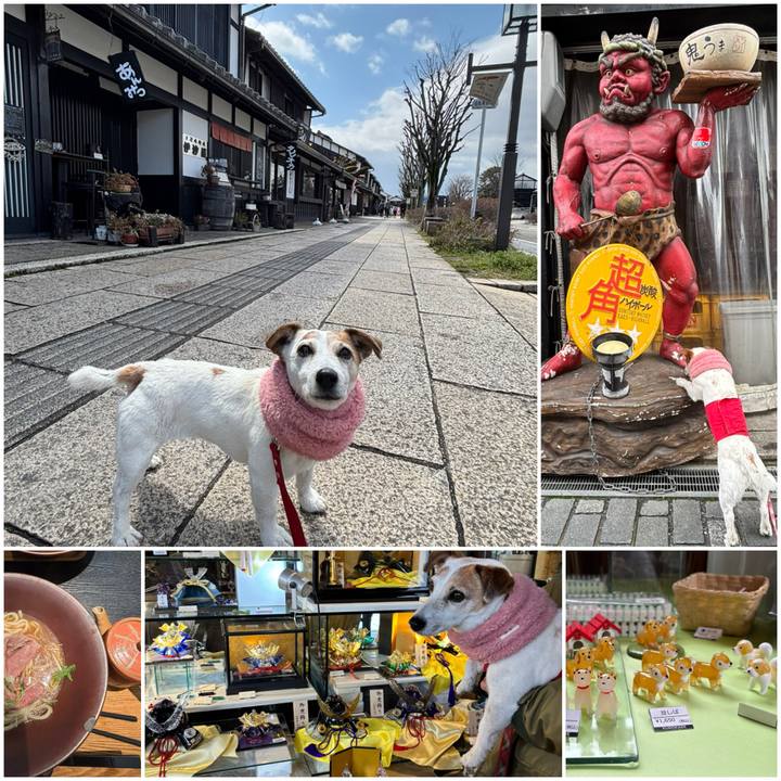 E5e56759 7d88 4144 ba76 2628508ca758 1774184155586