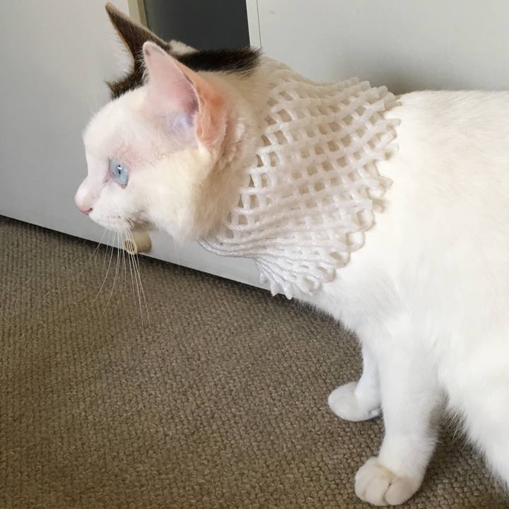 E5e56a27 a5bb 48fd b5ca 906f1079616e 1515286729601