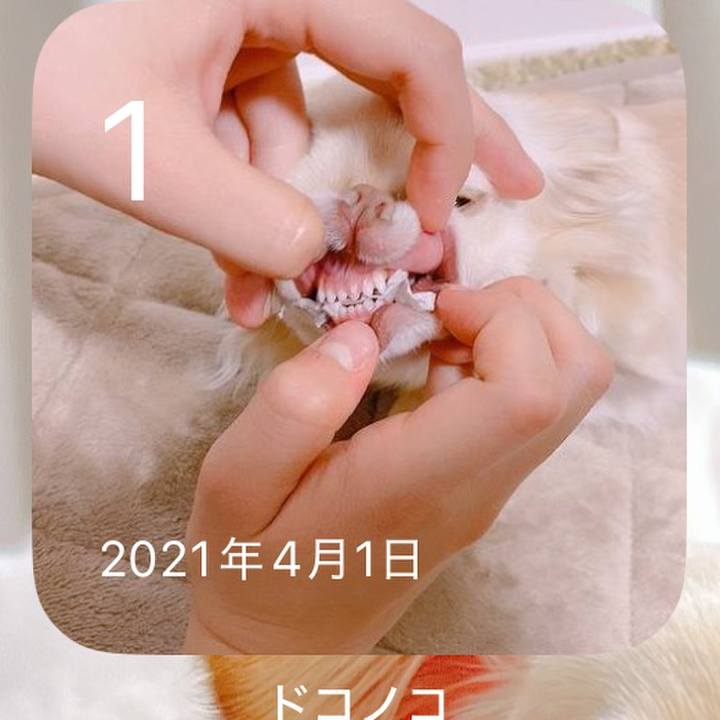 E5e5b9e8 45ef 4c11 9617 ebaf5ec32c72 1743496242891