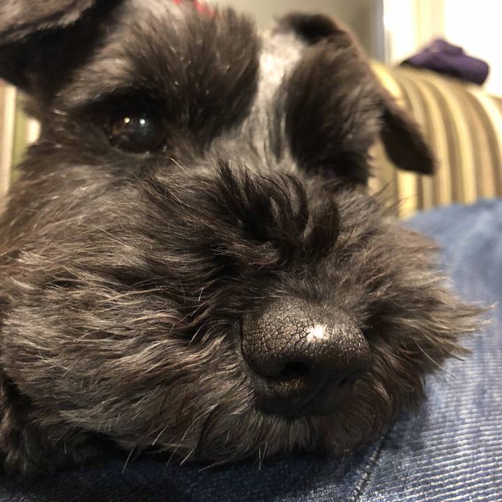 E5e61790 b66f 48ed 9c23 46db38feb894 1527077933322