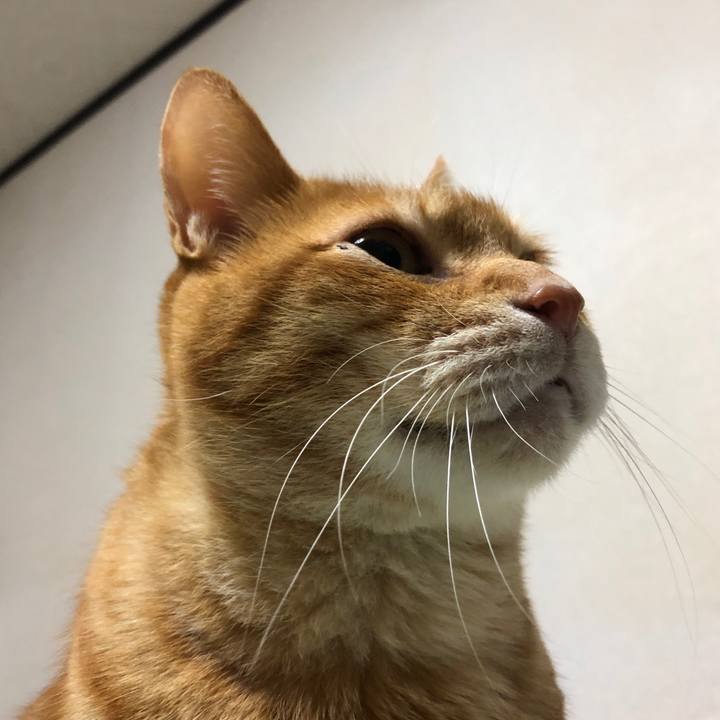 E5e627f6 a155 42f2 9f6f 14145363068e 1736512551184