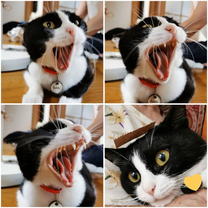 E5e6337d 1471 44f6 ac4c 621facff2296 1658043524898